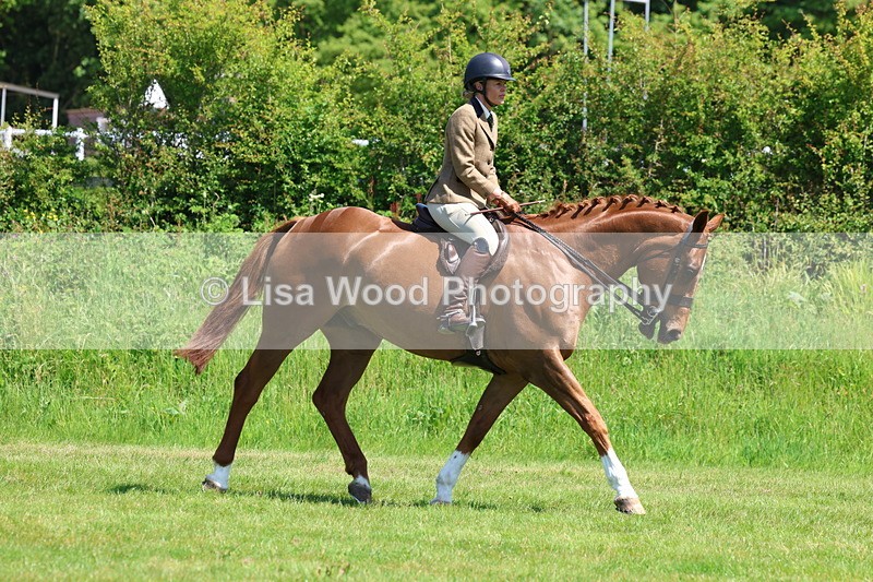 3E7A8223 - Class 13: Ridden Hunter