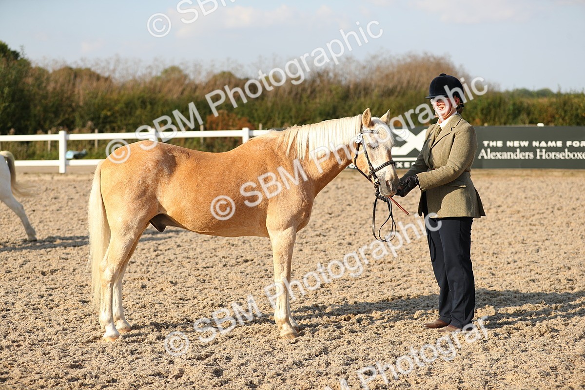 SBM_08951 - Class 29 IH Veteran Pony