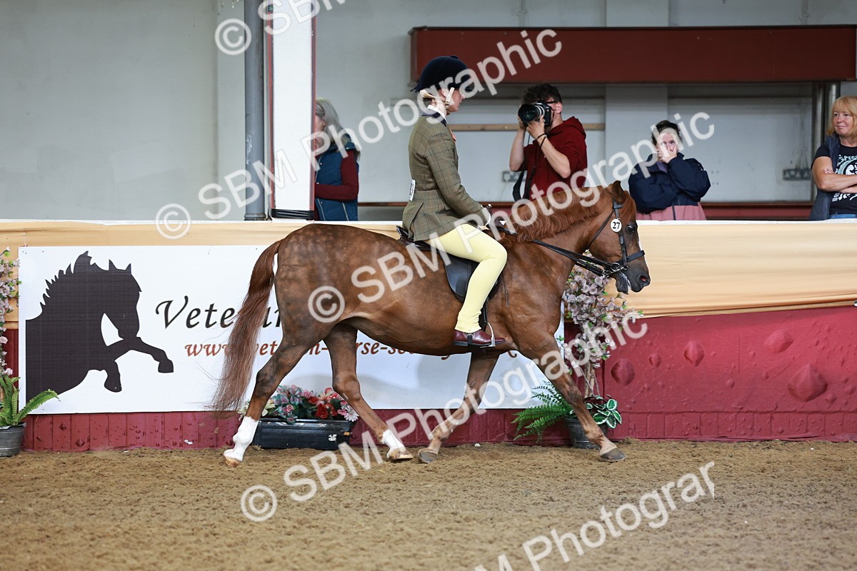 SBM_11805 - Class 102 - Equitation (Best Rider) Adult
