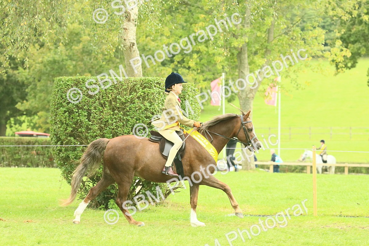 SBM_75013 - Ridden Pony Supreme Championship