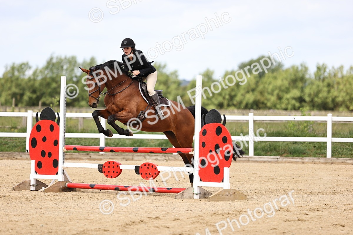 SBM_007203 - Class 2 - 80cm showjumping