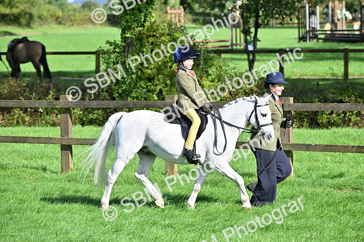 SBM_37434 - S18 - Novice & Newcomer Lead Rein Pony