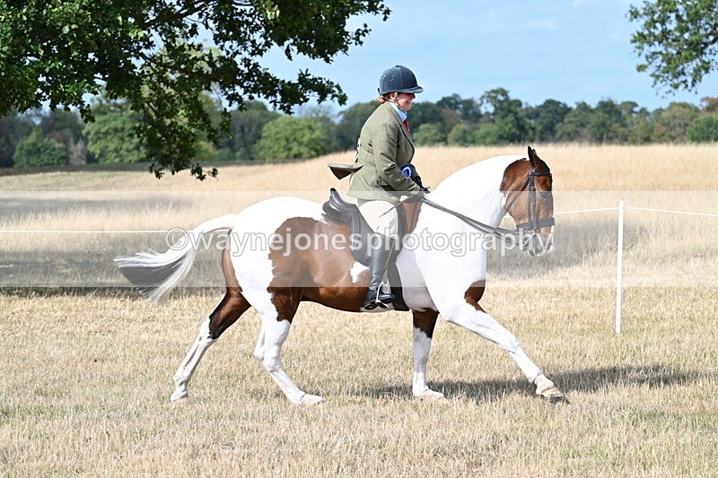 WJ7_7524 - Class 14 Ridden Coloured