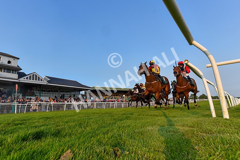 310524-Race 4-Albegone-7586 - Race 4