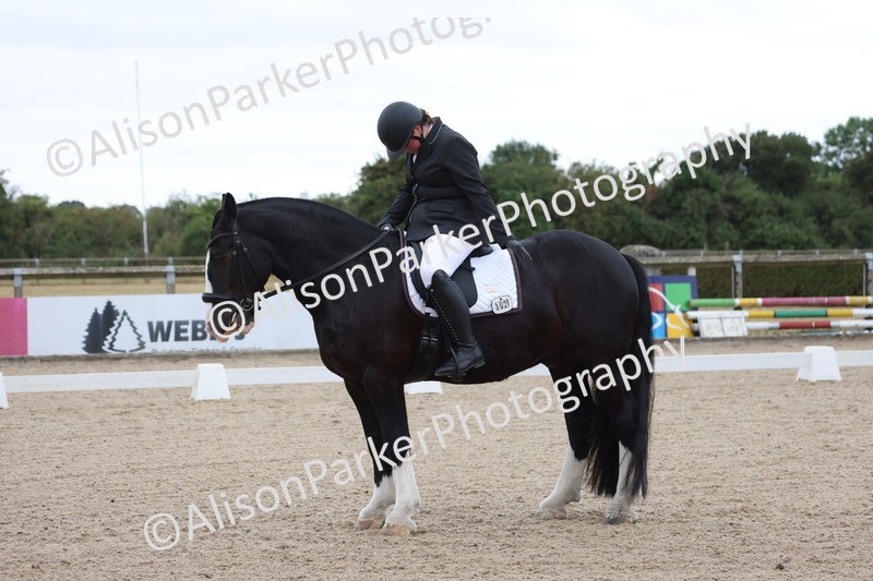 20250706-0113 - Class 11 - MQ Open Novice Test 3