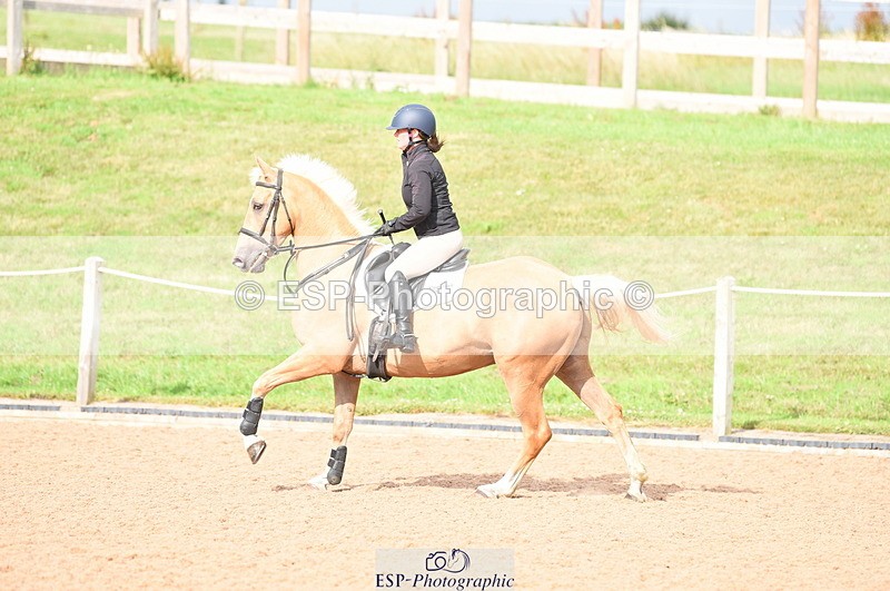 230711A-174108-00317 - 80cm