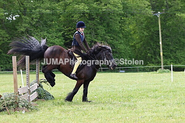 IMG_3294 - Working Hunter