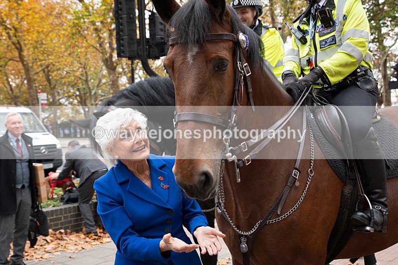 Z62_4491 - Animals In War Memorial 2025 - Park Lane, London