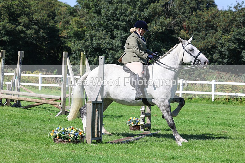 3E7A8256 - Class 4: Novice working Hunter