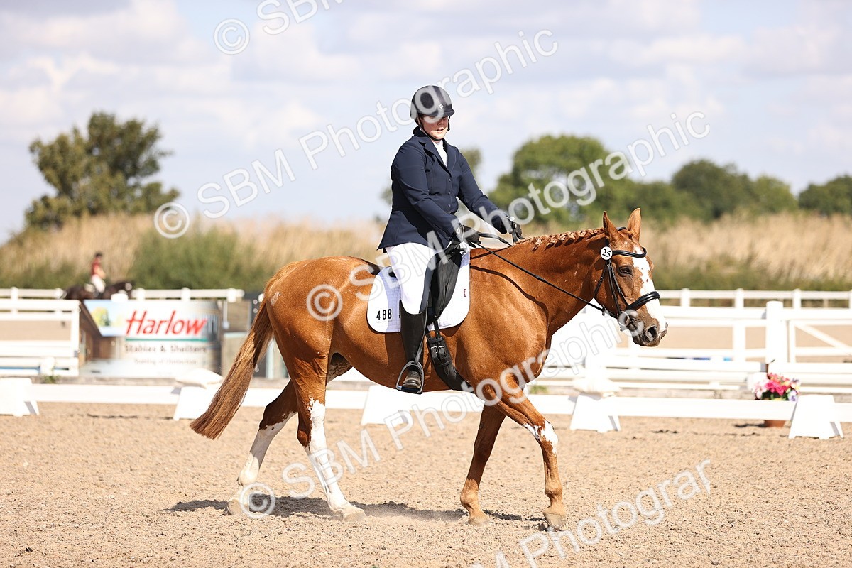 SBM_03546 - CLass 35 Intro 3