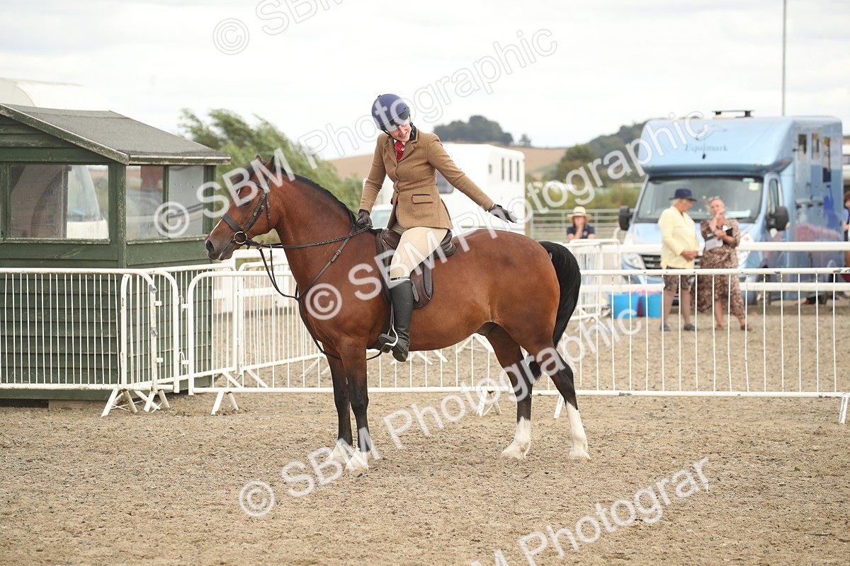 SBM_17646 - Class 508a - Working Veteran 70cm (15-19)