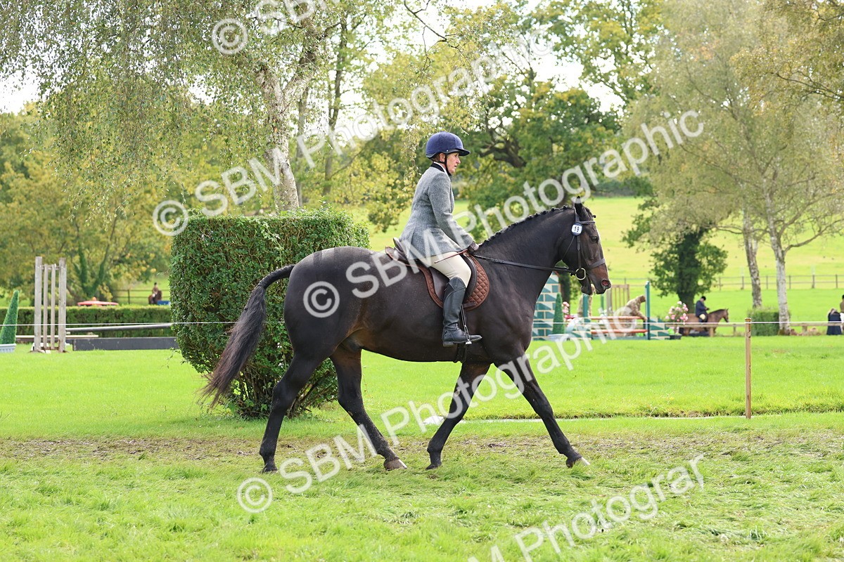 SBM_45191 - S27 - Young Veteran Ridden