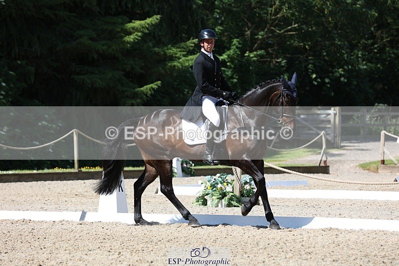 230526-103429-05284 - 362-SPIRIT'S_GEMINI-Harry_Dzenis-WEDTrotUp+DR