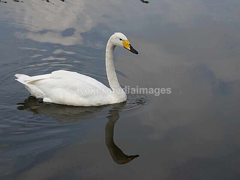 CHINA__0117 - China 2019