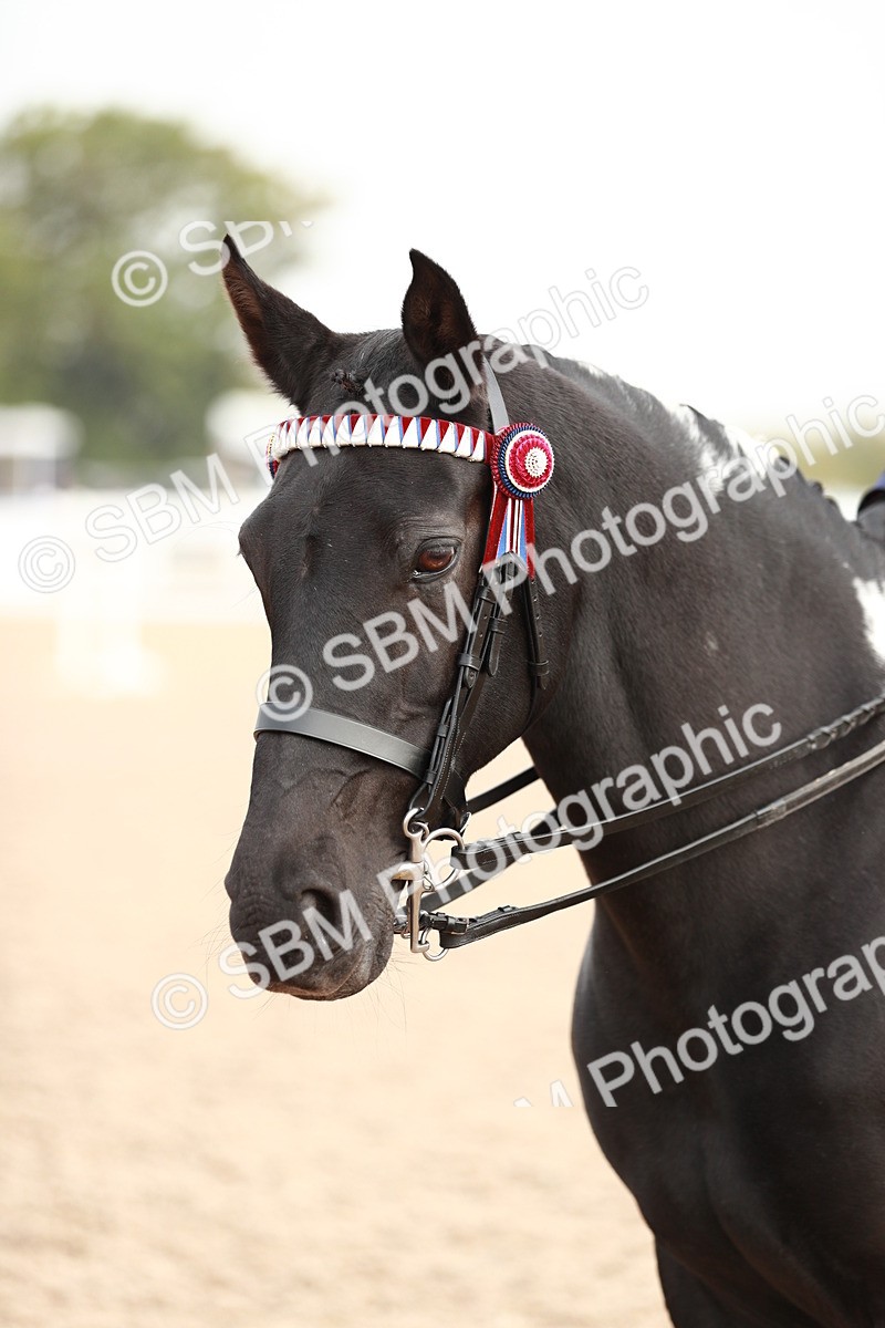 SBM_09434 - Class 202 Best Turned Out Ridden