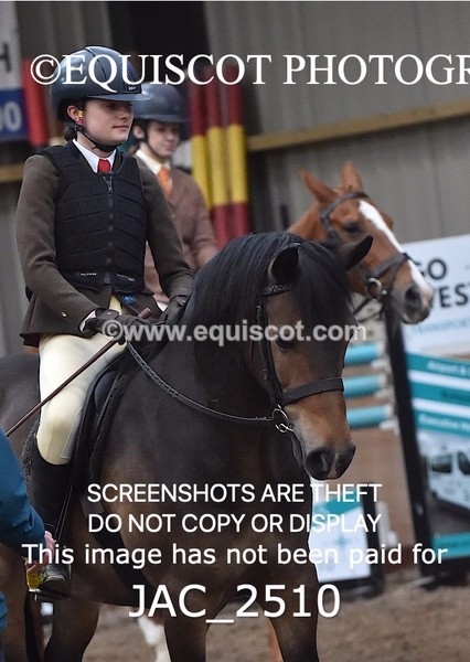 JAC_2510 - CLASS 3 Intermediate Working Hunter