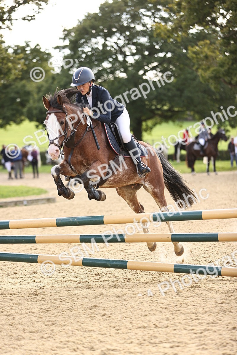 SBM_52911 - J10 - Junior Pony 75cm Championship