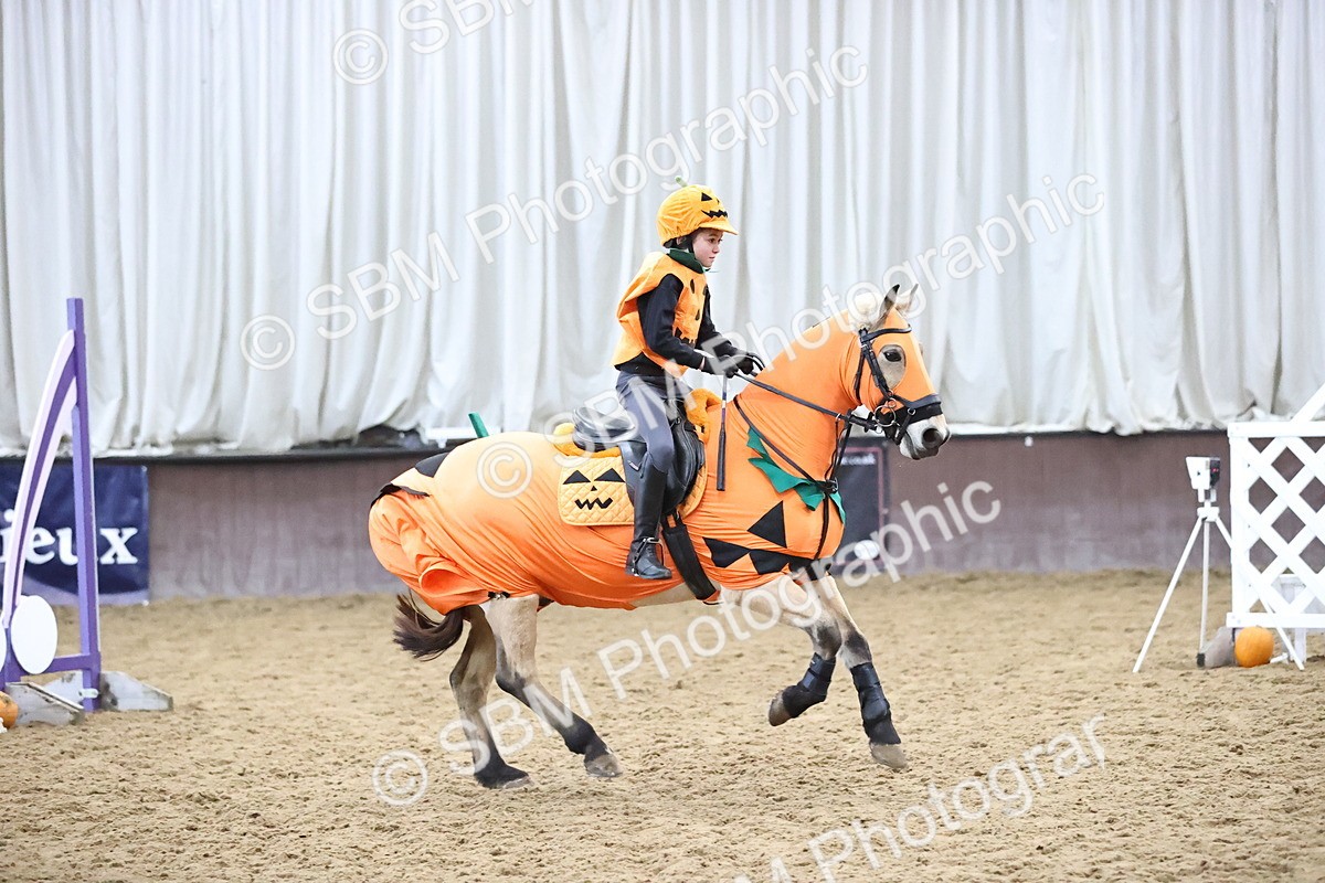 SBM_000547 - Class 2 - Show Jumping 50cm