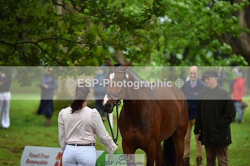 240522-163024-00962 - 203-OAKPORT_WEST_COAST_EXPRESS-Emma_Wilkes