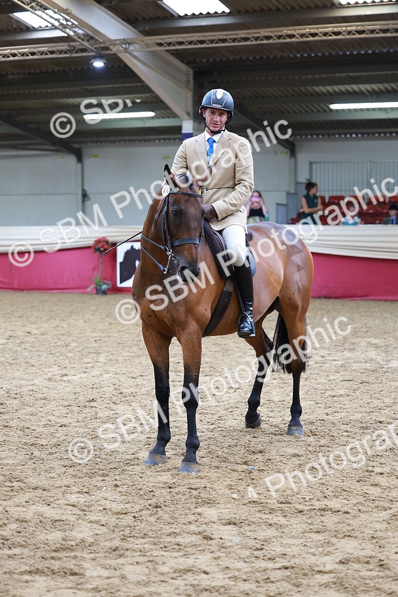 SBM_14986 - Class 108 - Ridden Retired Racehorse