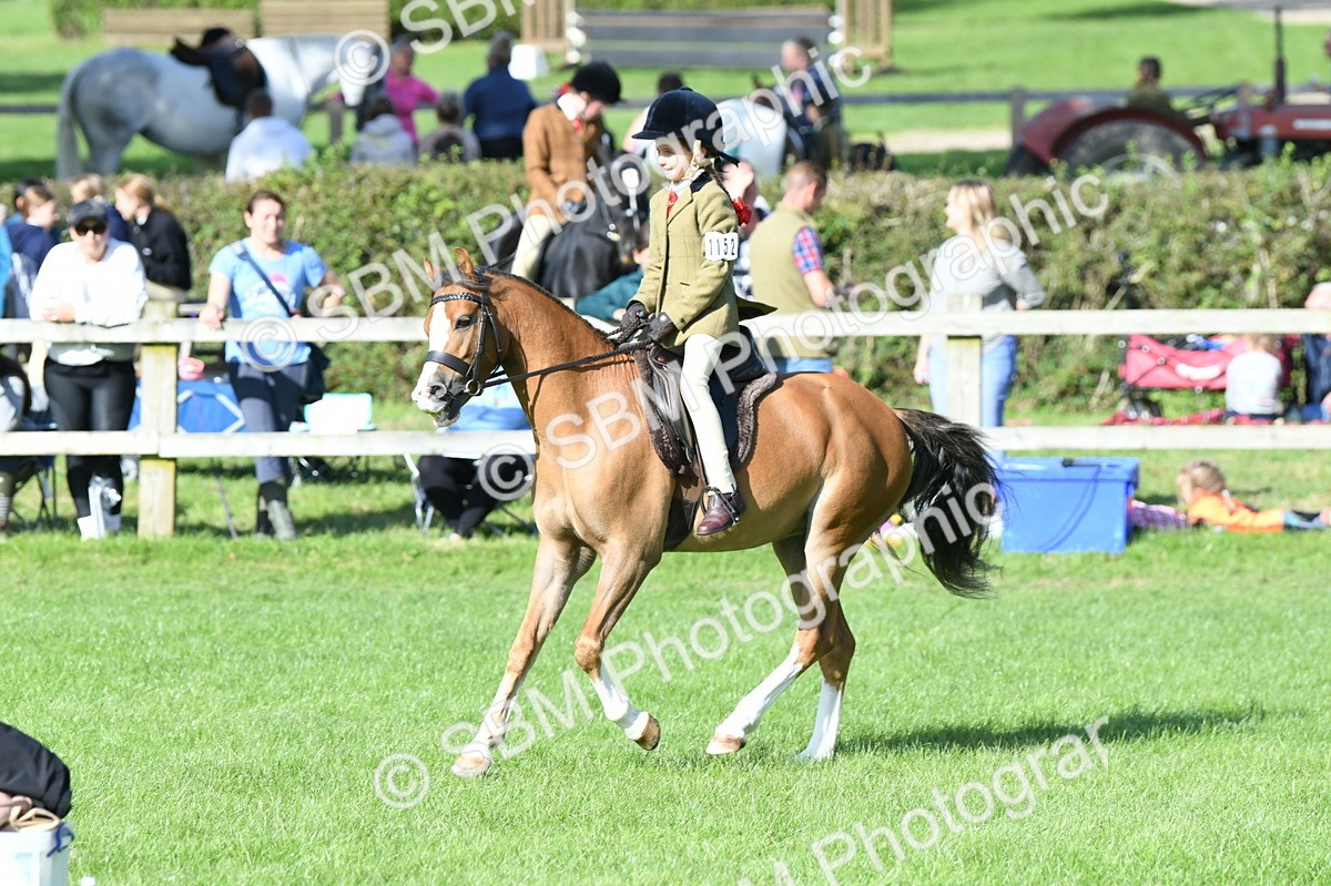 SBM_50372 - S21 - Novice & Newcomers 1st Ridden Pony