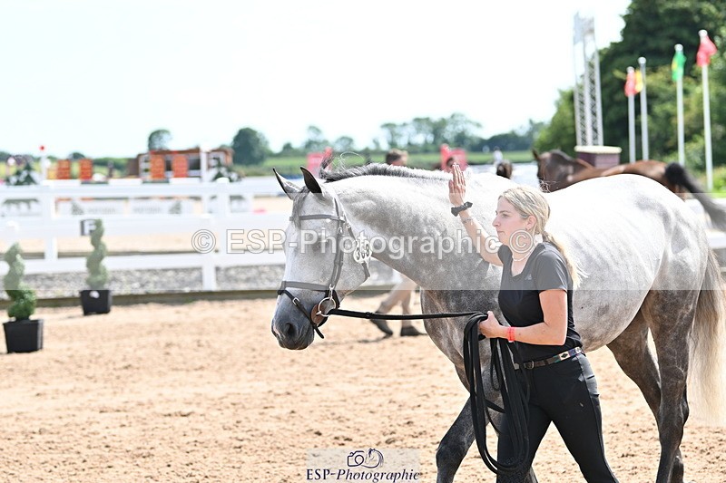 240717A-150949-02590 - Trot Up 3pm to 4pm