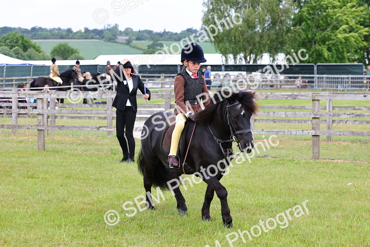 SBM_08565 - Class 42-43 - LIHS BSPS Heritage Working Sports Pony