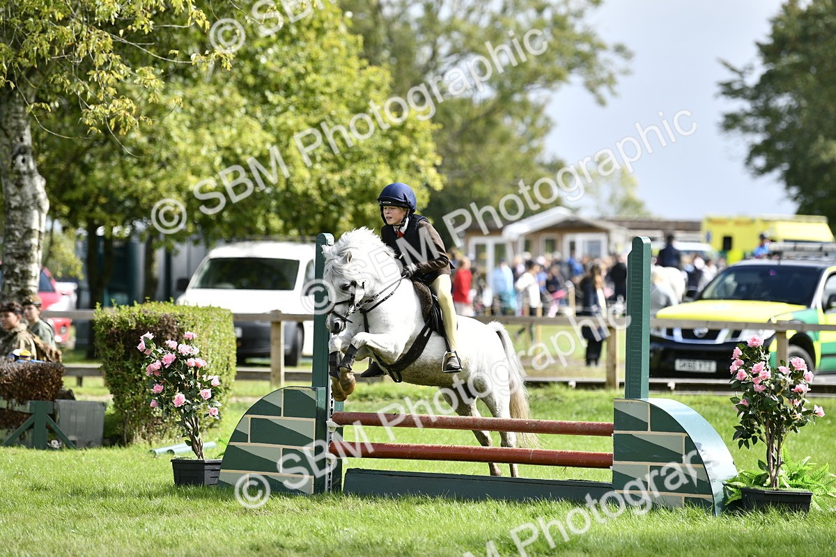 SBM_41249 - S31 - Novice & Newcomer Working Hunter Pony