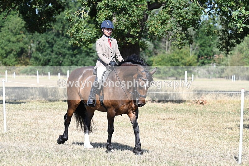 WJ7_3374 - Class 9 Mountain & Moorland Ridden