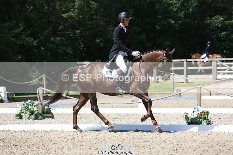 230526-113114-06073 - 153-GAMEBIRD-Max_Warburton-WEDTrotUp+DR