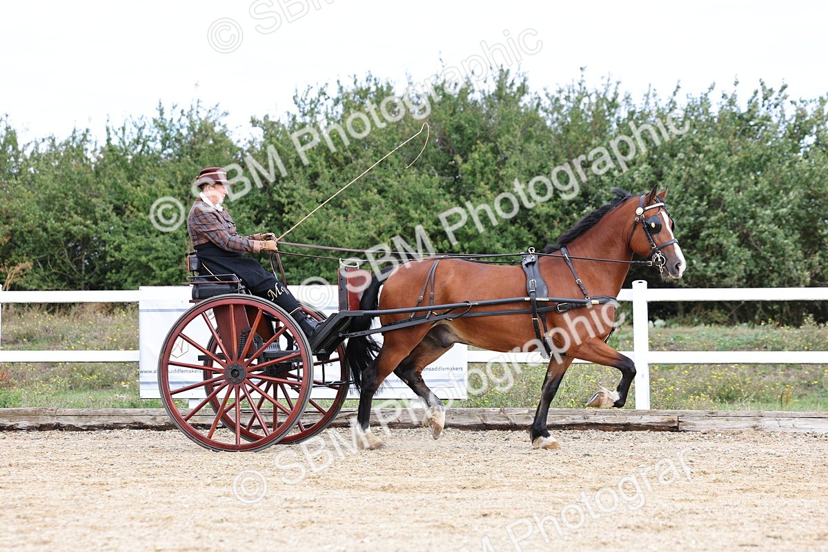 SBM_000739 - Class 6 - Exercise Vehicle 13.2 and over