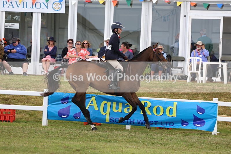 3E7A2396 - Class 11: Retraining of Racehorse