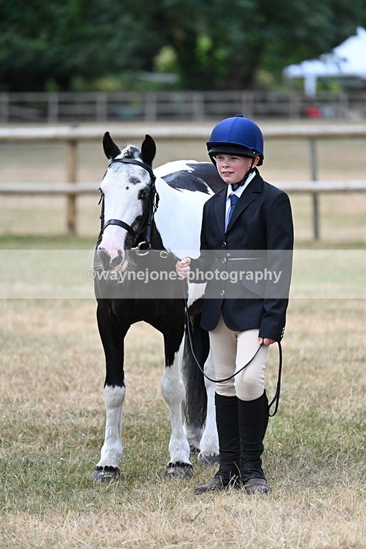 WJ7_1503 - Class 4 Prettiest Mare up to 14.2hh in hand