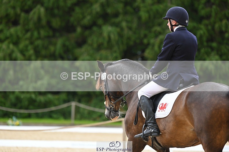 230813-140934-07688 - Cls 13 Medium Bronze 13.15 to End