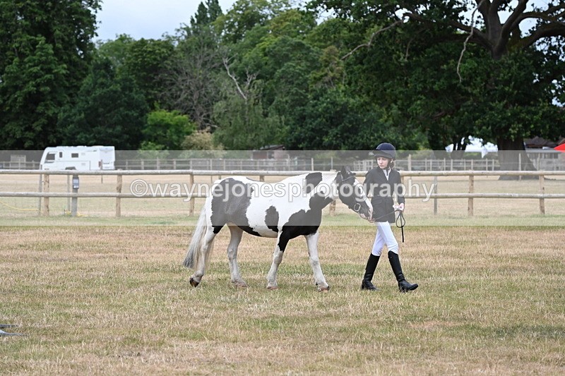 WJ6_4590 - Class 10 Coloured In-hand