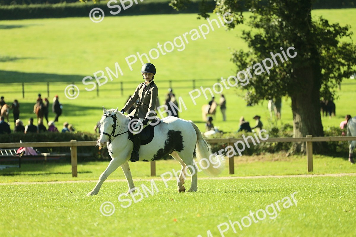 SBM_36434 - S29 - Novice & Newcomers Working Hunter Pony