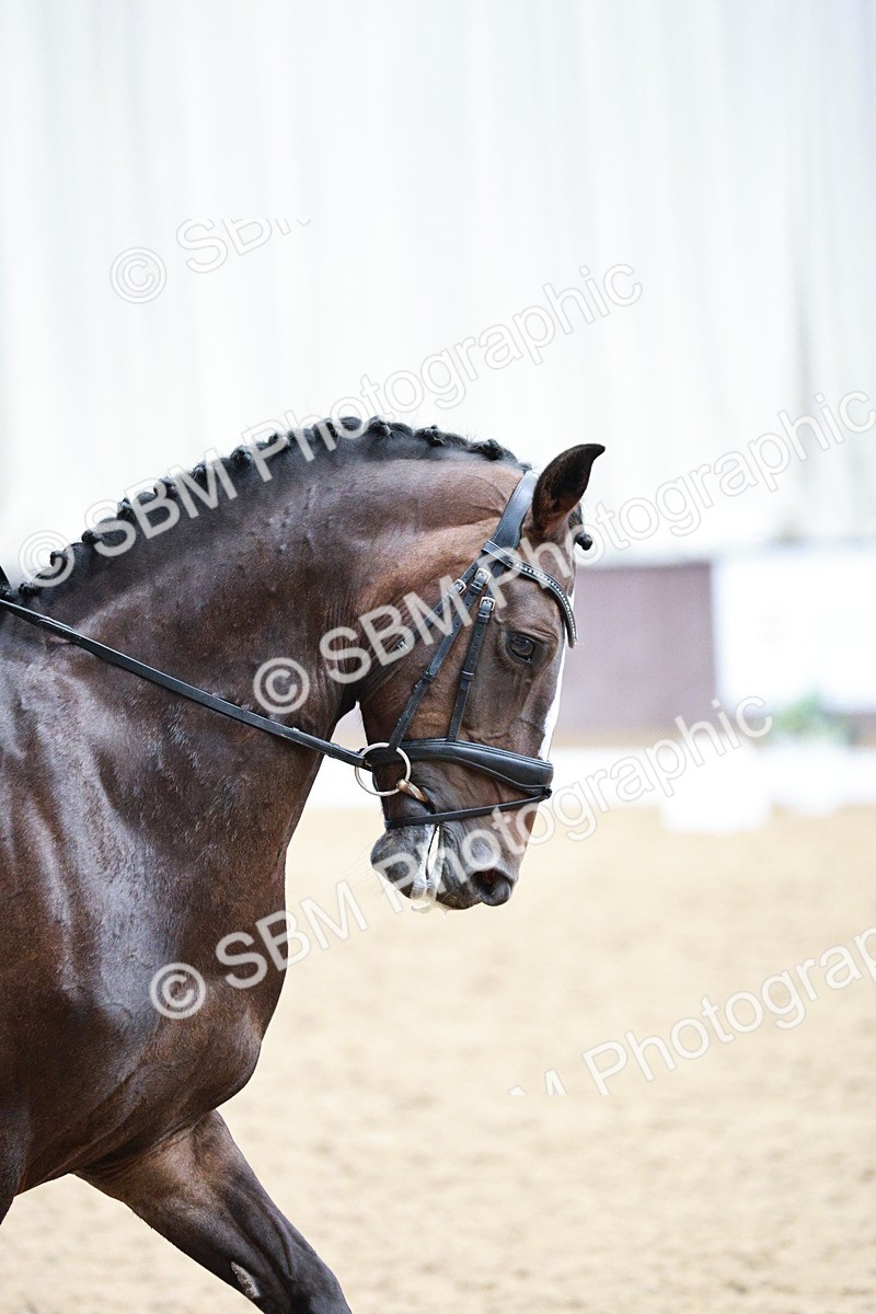 SBM_006060 - Class 17 - Advanced Medium FSM - 13.44-14.48