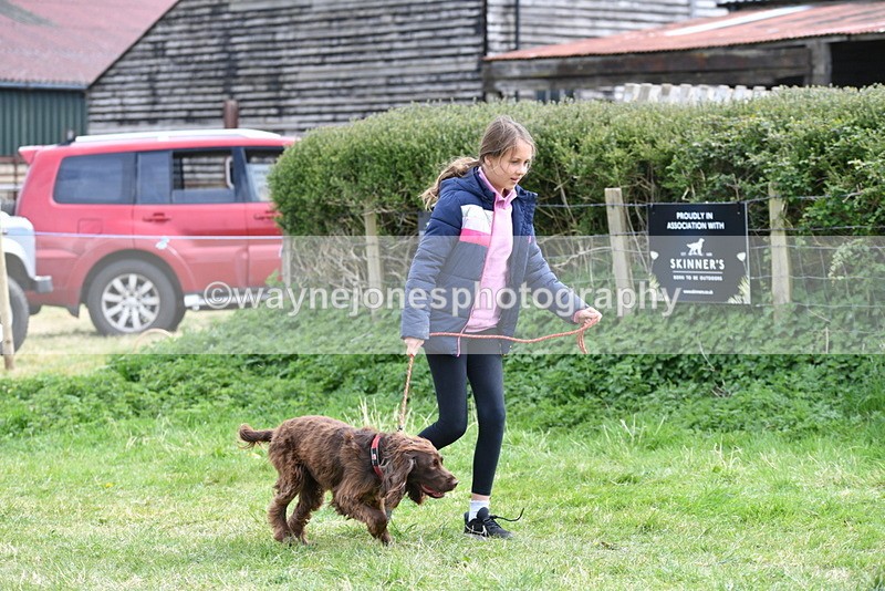 WJ5_9573 - Class 3 Most Handsome Dog