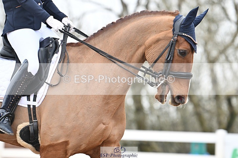 250216-104653-04688 - 136-Helen.Kitto-James.Bond