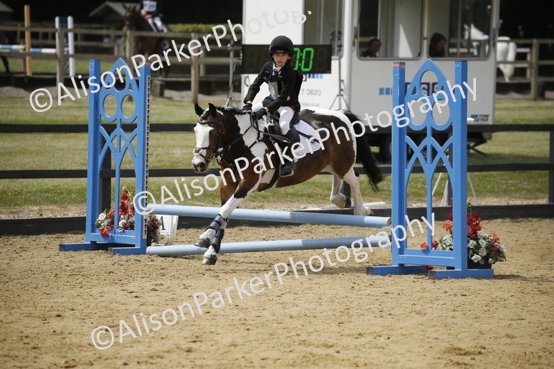 20250622-4124 - 50cm