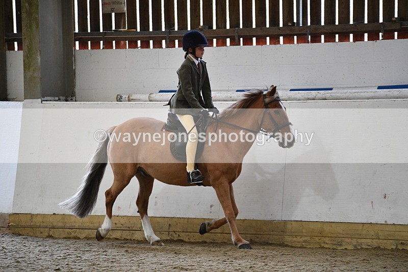 WJ5_6241 - Class 9 Ridden Veteran