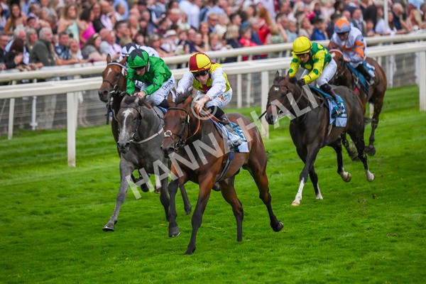 280723-Race 7-Knebworth-0783 - Race 7 8.20pm Sky Bet Go-Racing-In-Yorkshire Summer Festival Handicap