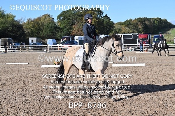 BPP_8786 - LONG ARENA