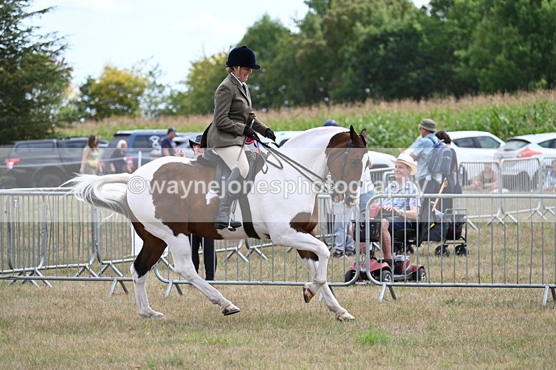 WJ7_5618 - Class 12 Ridden Cob