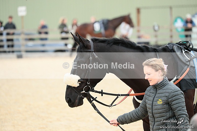 PtP 040526 565 - Mollington Point-to-Point 04/05/26