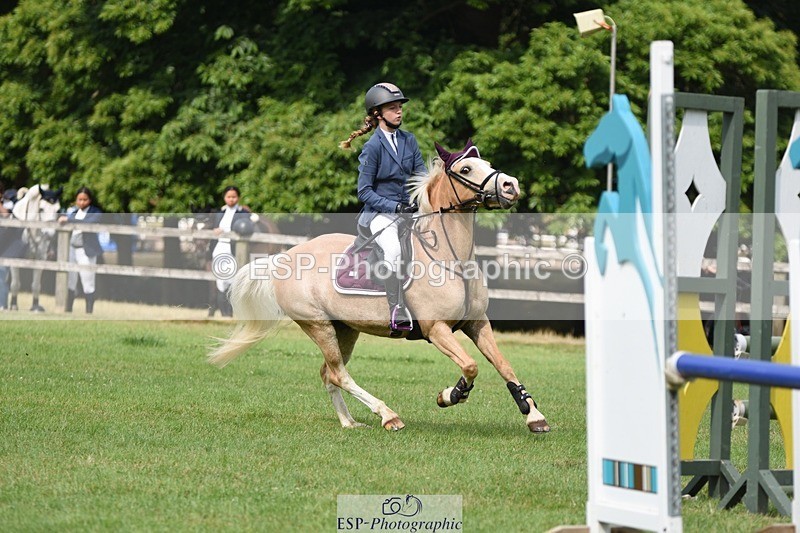 230617-095150-01693 - Cls 15 British Novice & 80cm Open