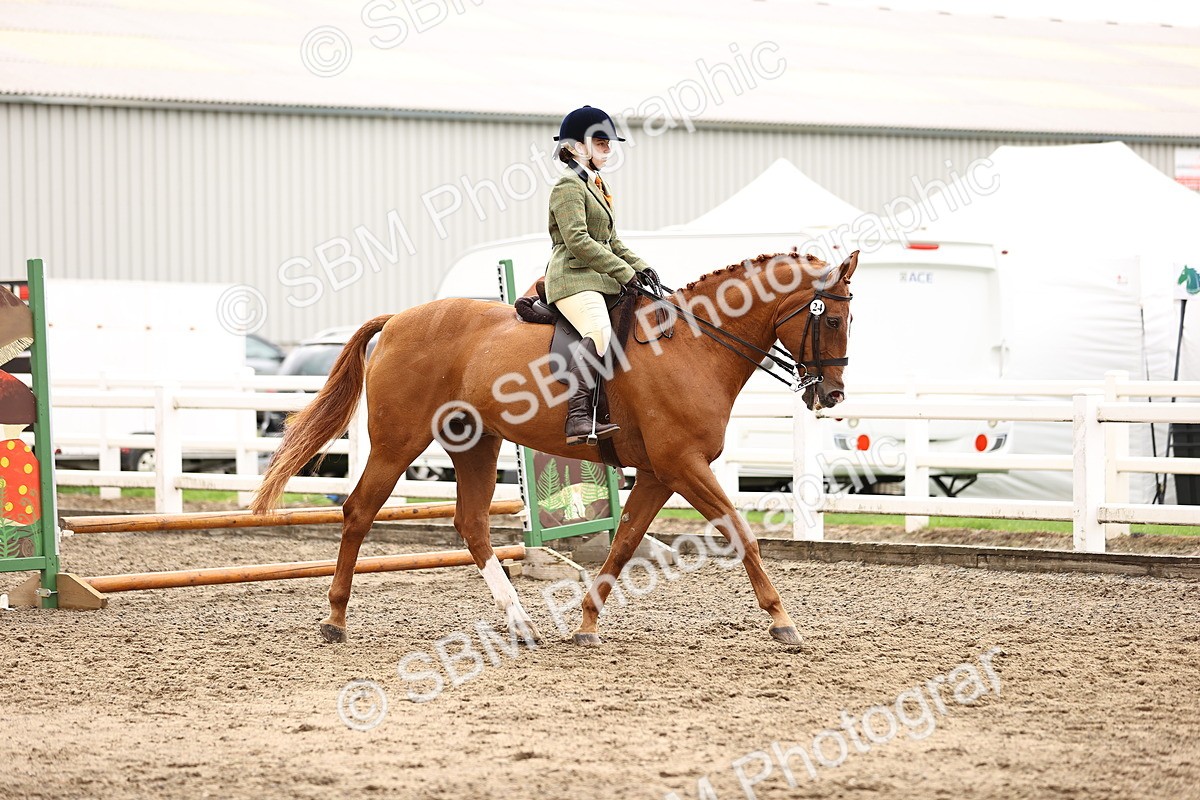 SBM_00528 - Class 53 - Ridden Competition Horse Pony