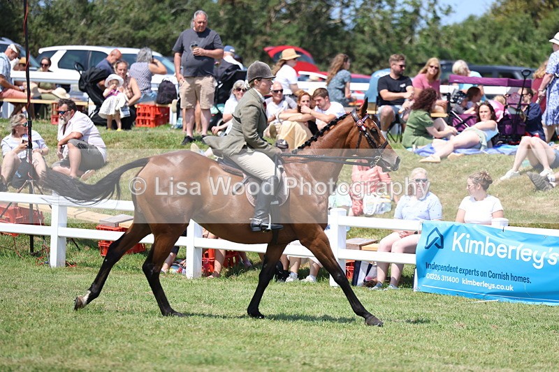 3E7A9384 - Class 12: Open Racehorse to Show Horse