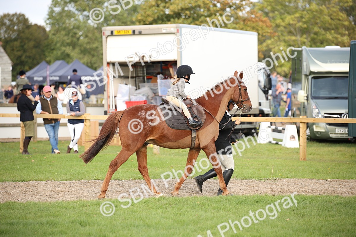 SBM_54264 - S27 - Mature Veteran - Ridden