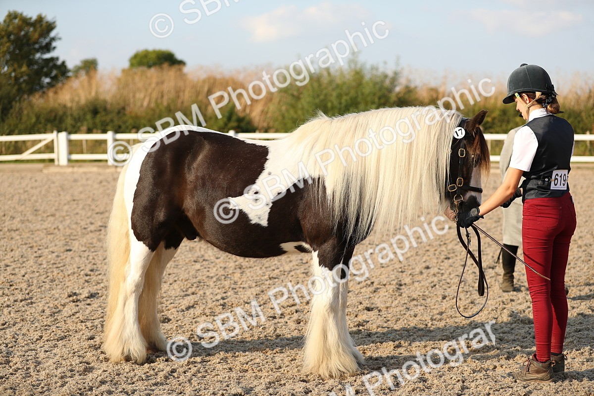 SBM_09072 - Class 29 IH Veteran Pony
